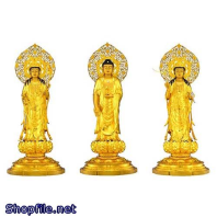 Phật Giáo